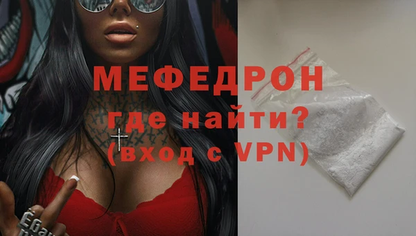сатива Няндома