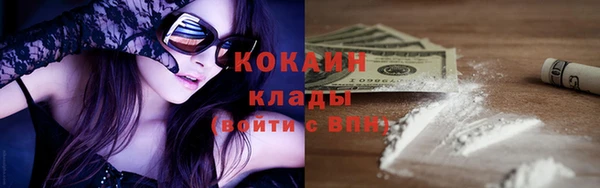 дмт Осинники
