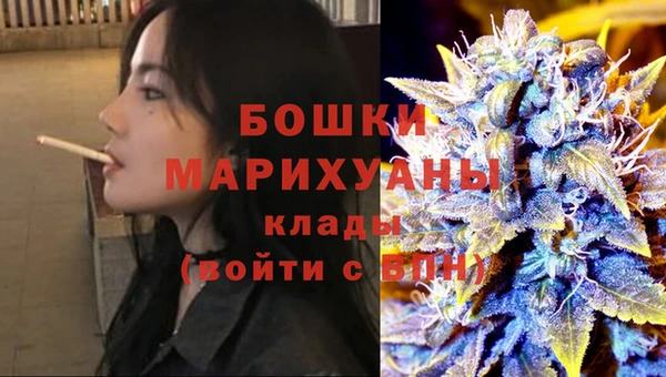 дмт Осинники