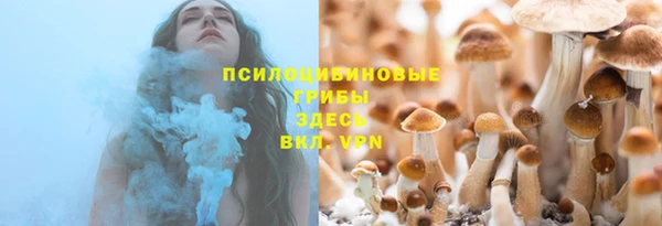 дмт Осинники