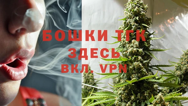 дмт Осташков