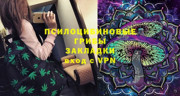 дмт Осташков
