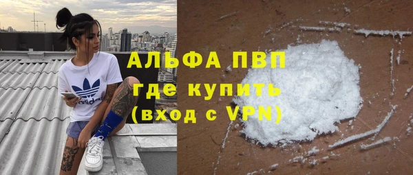 дмт Осташков
