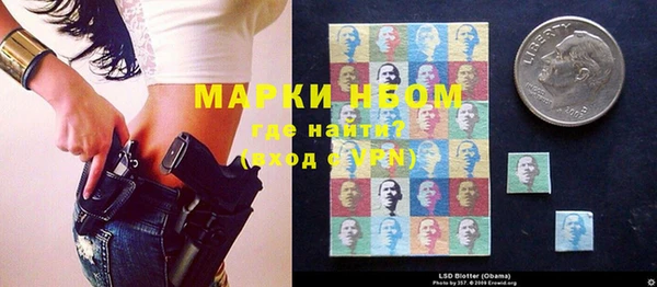 дмт Осташков