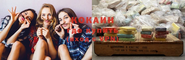 дмт Осташков